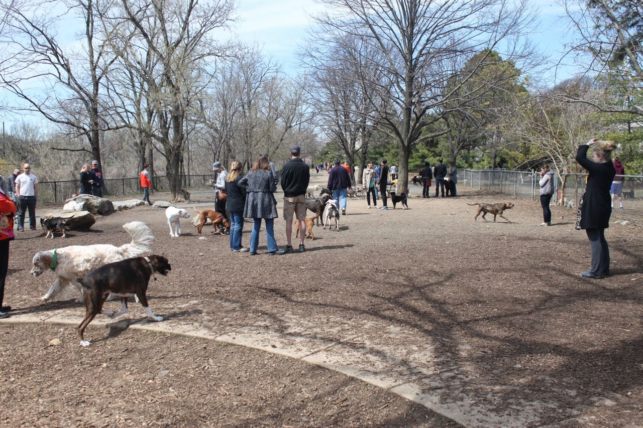 Up North Arlington Dog Park