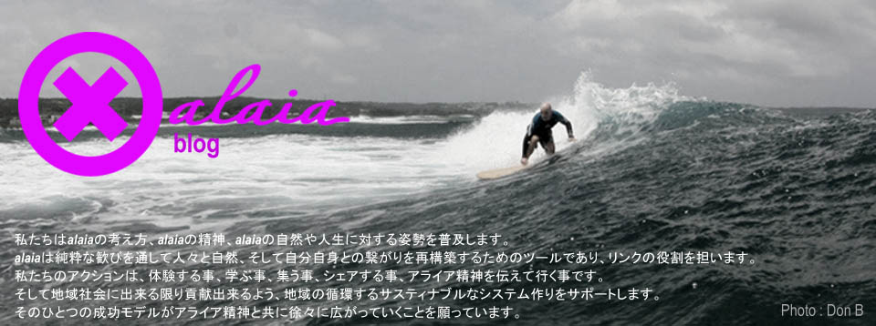 xalaia, Alaia surfboards design, アライアサーフボード