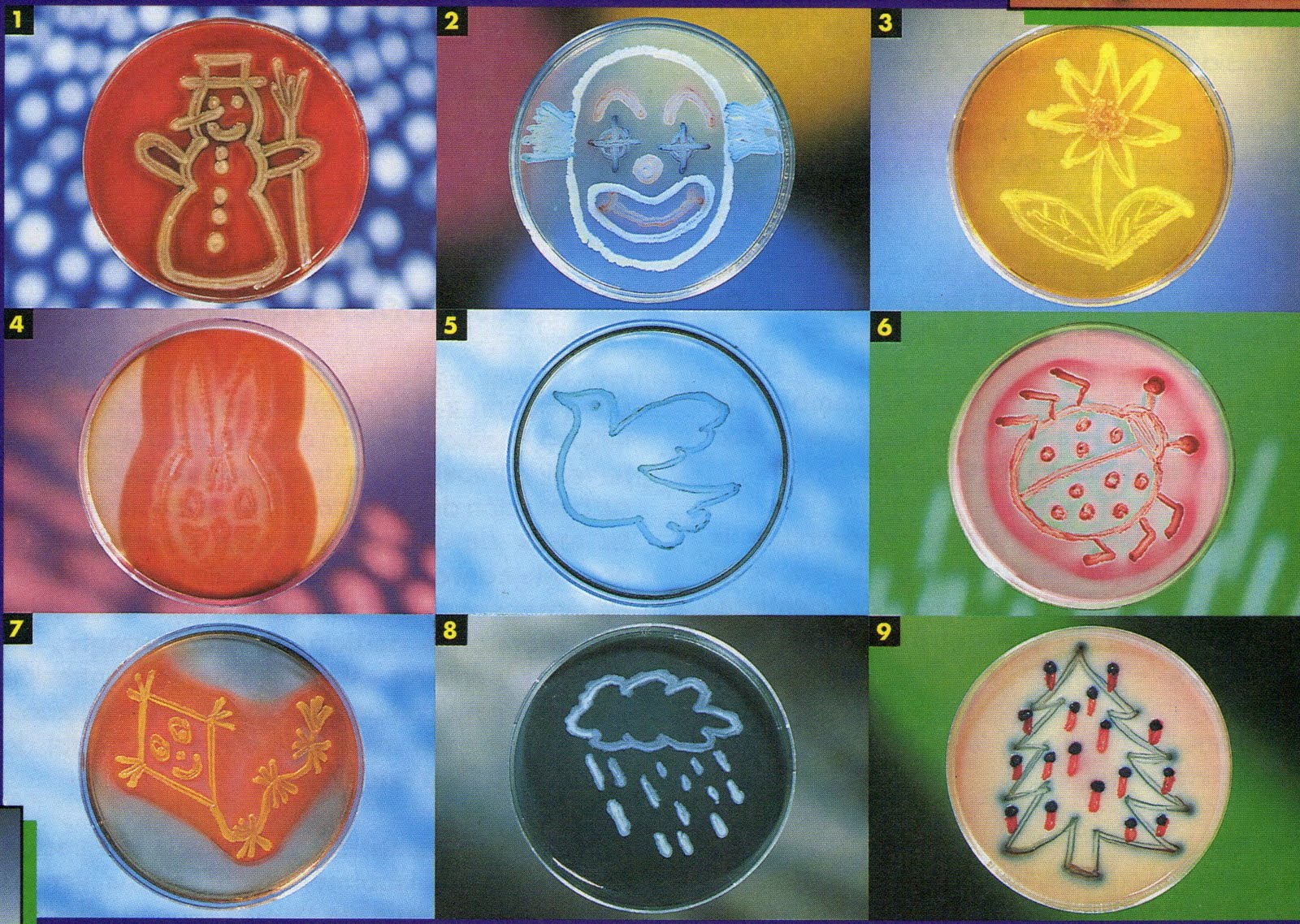 Dibujos con microorganismos