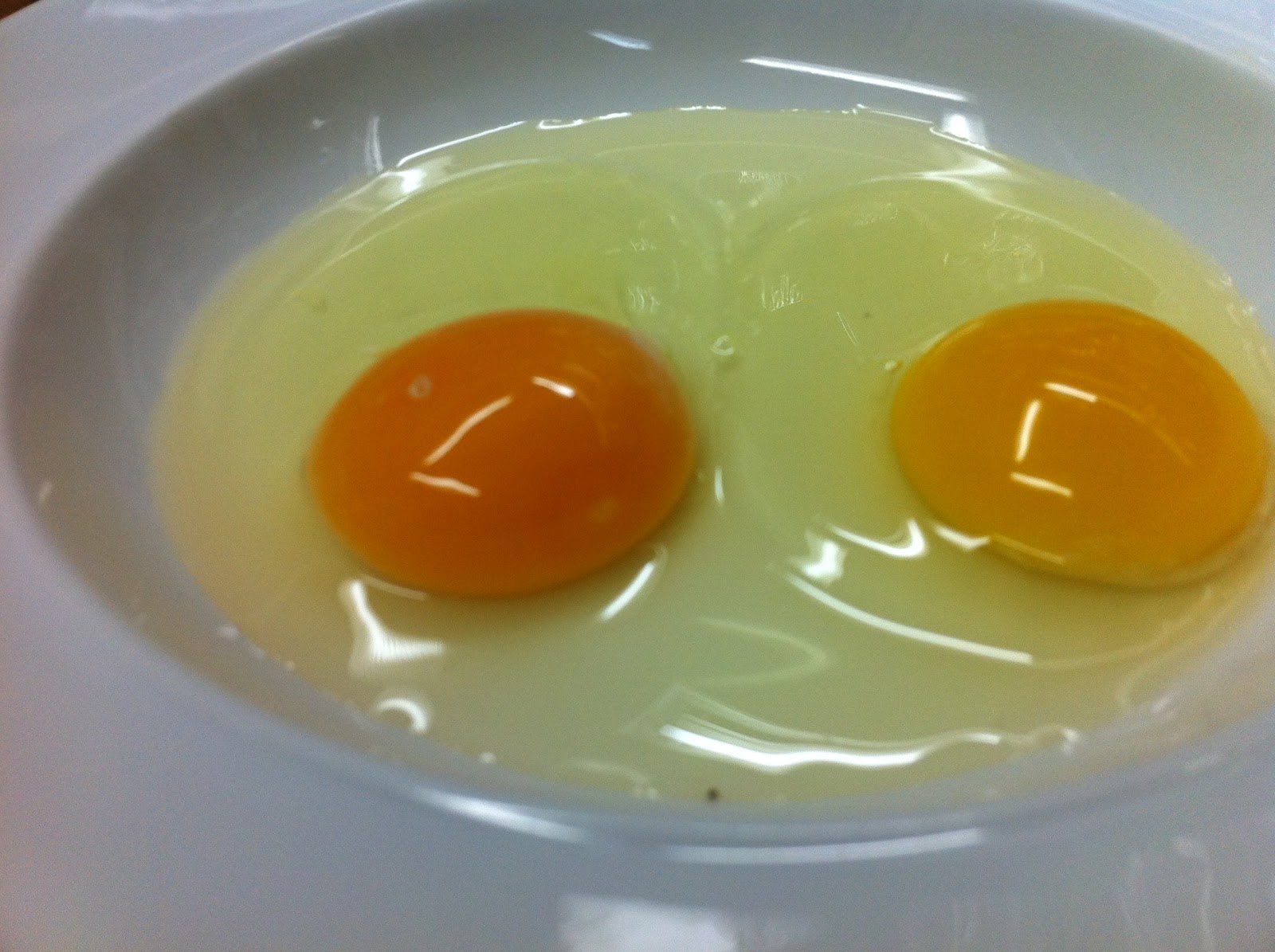 Baby PT has gone Primal! Japanese Eggs versus American Eggs