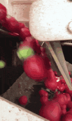 과수원 자동화 기계