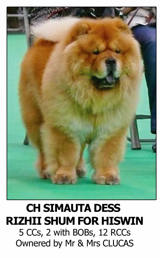 Professional Dog Grooming Shampoo MD10 Collection Champu para Perros