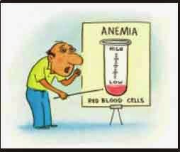 anemia kekurangan darah merah