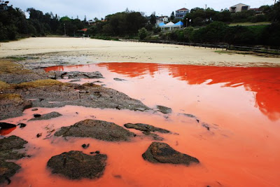 aguas se vuelven sangre en australia