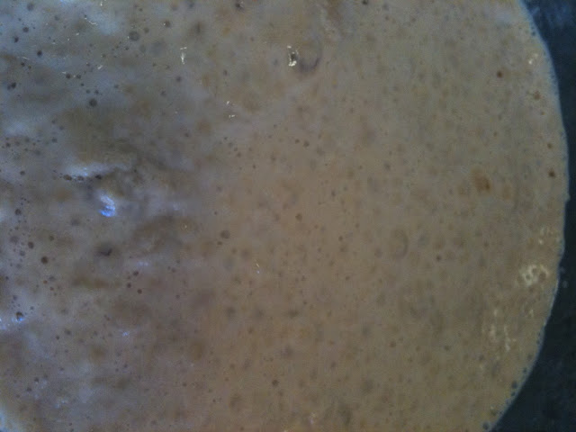 Proofed yeast