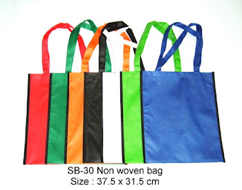 CENTRUM LINK - NON WOVEN BAG - SB-30