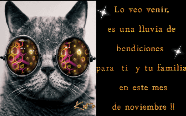 Resultado de imagen para gif de bienvenido noviembre