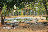 taman buaya tanjung pasir