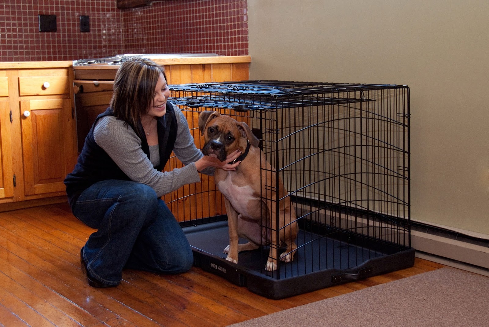 dog time out crate dog time out crate