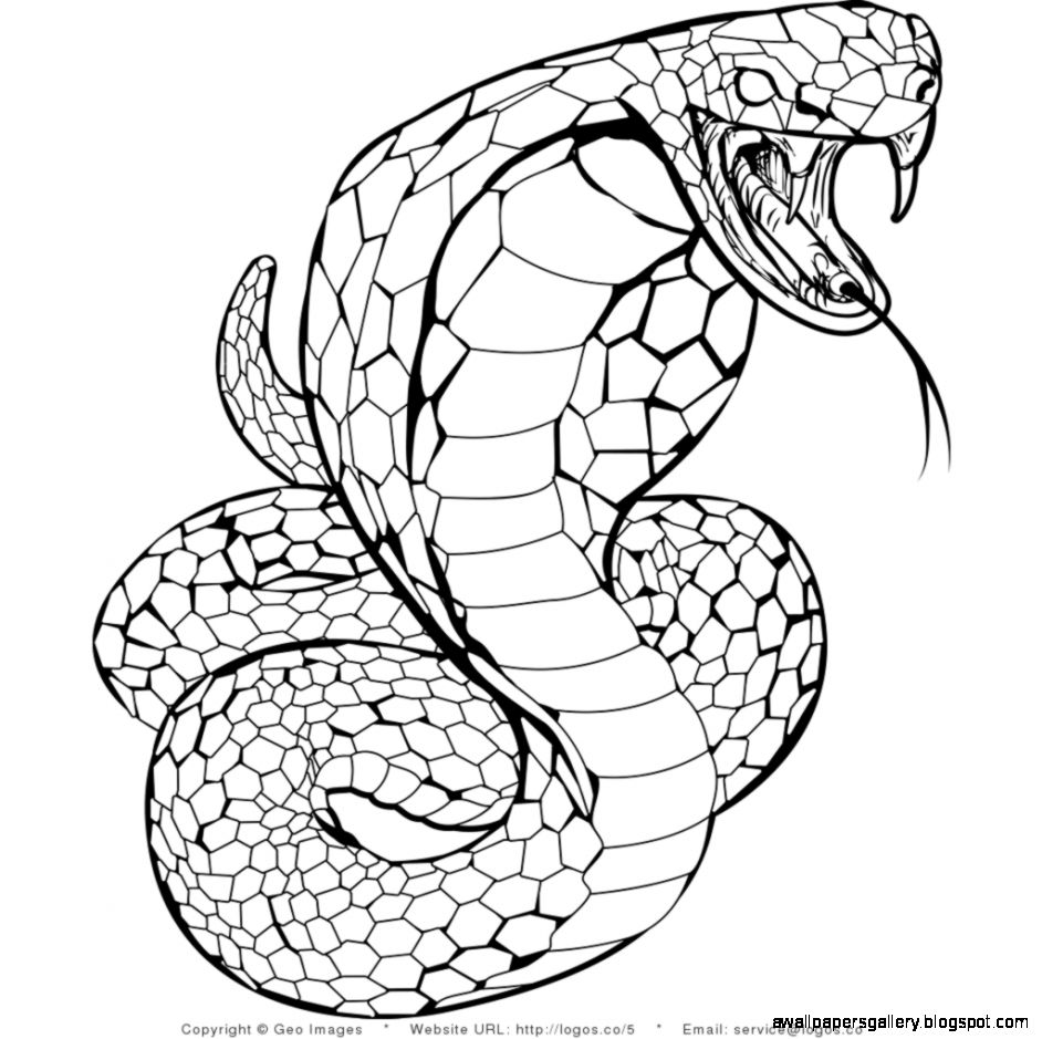 cobra snake coloring page