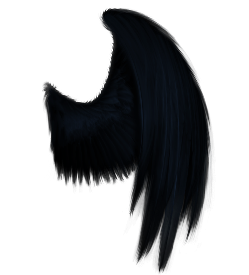 blue_wing_png.png