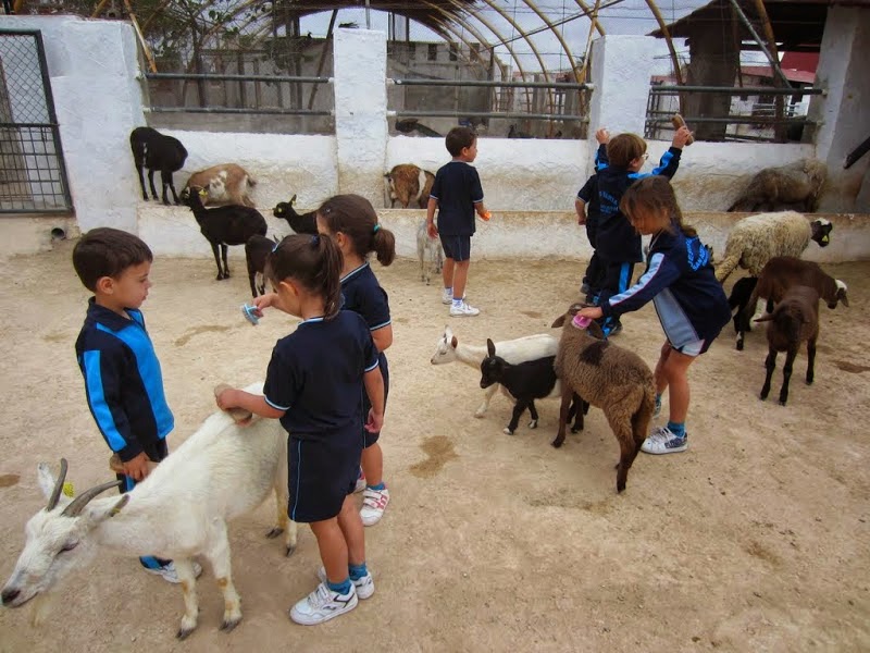 ¡Mira qué bien! Excursión 4 años Granja Escuela La Loma