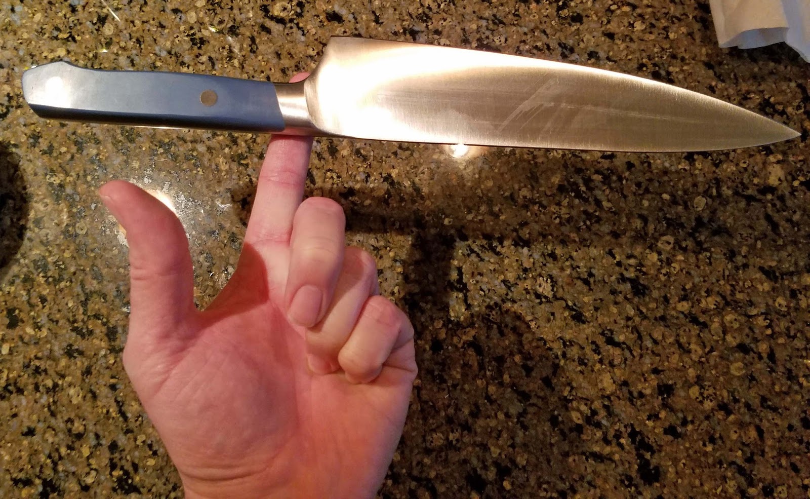 Cooking Blahg It's Here! Misen Chef's Knife Edition Food, cooking