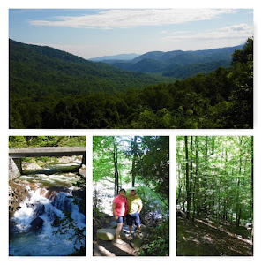 Some views of the Great Smokey Mountains National Park