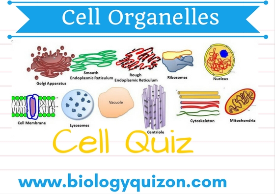 Quiz on Cell organelles