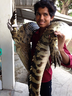 Crocodile farm visit