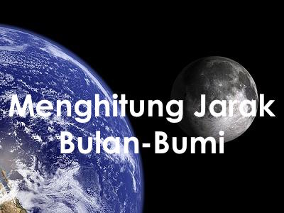 Everything About Wood Everything About Wood