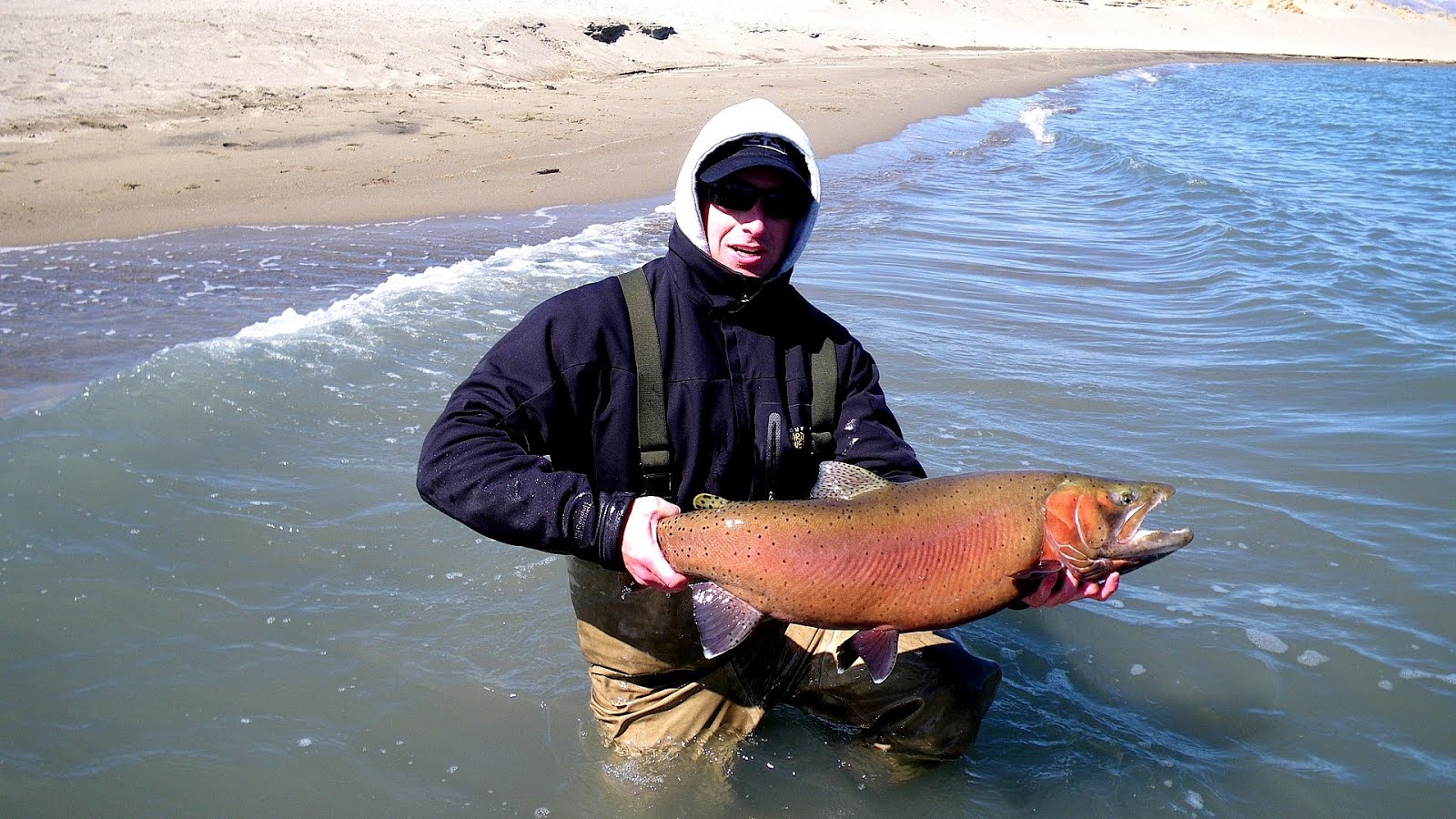 Pyramid Lake Nv Fishing Fish Choices