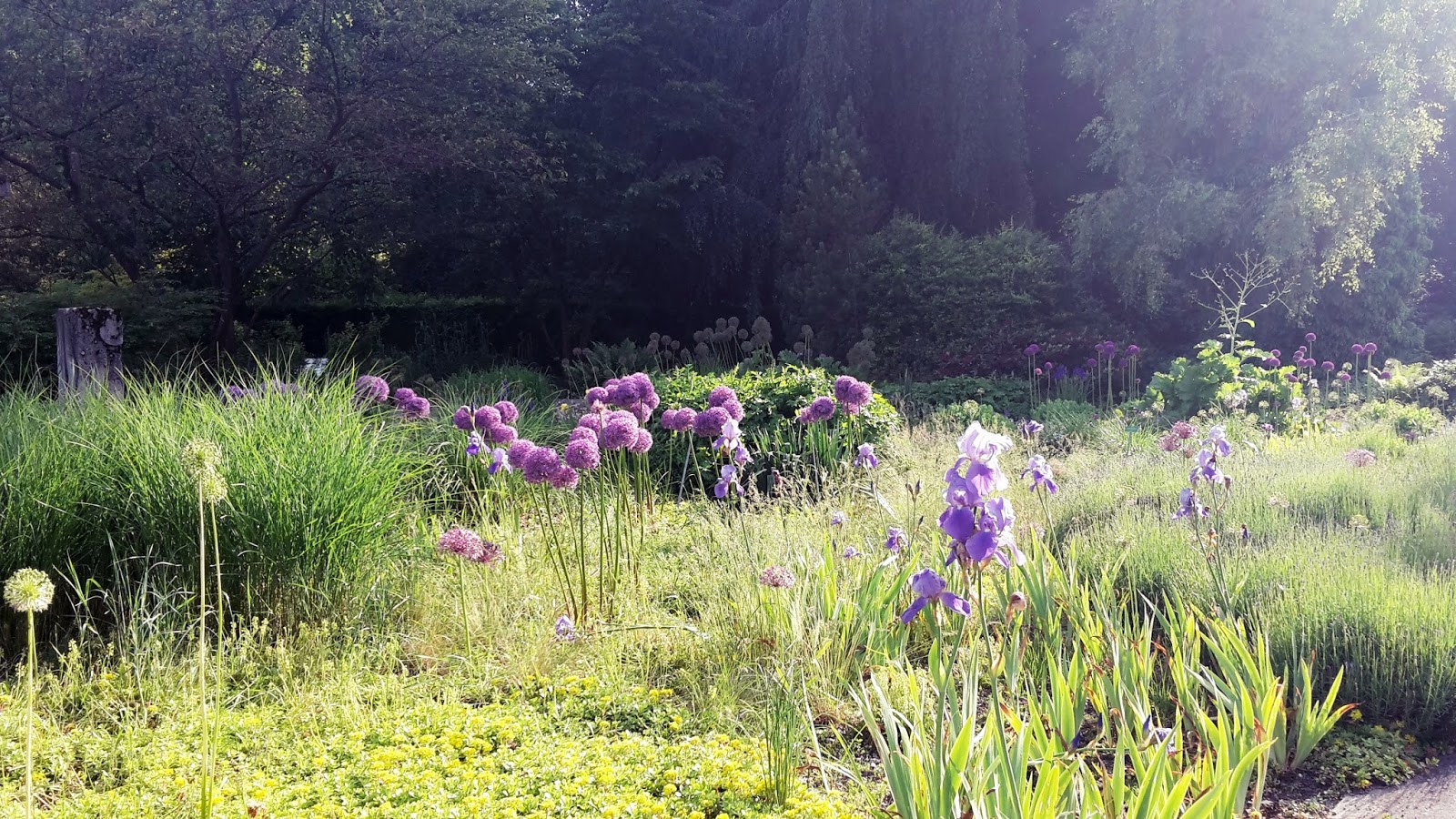 Augsburg Authentisch! Der Botanische Garten Augsburg