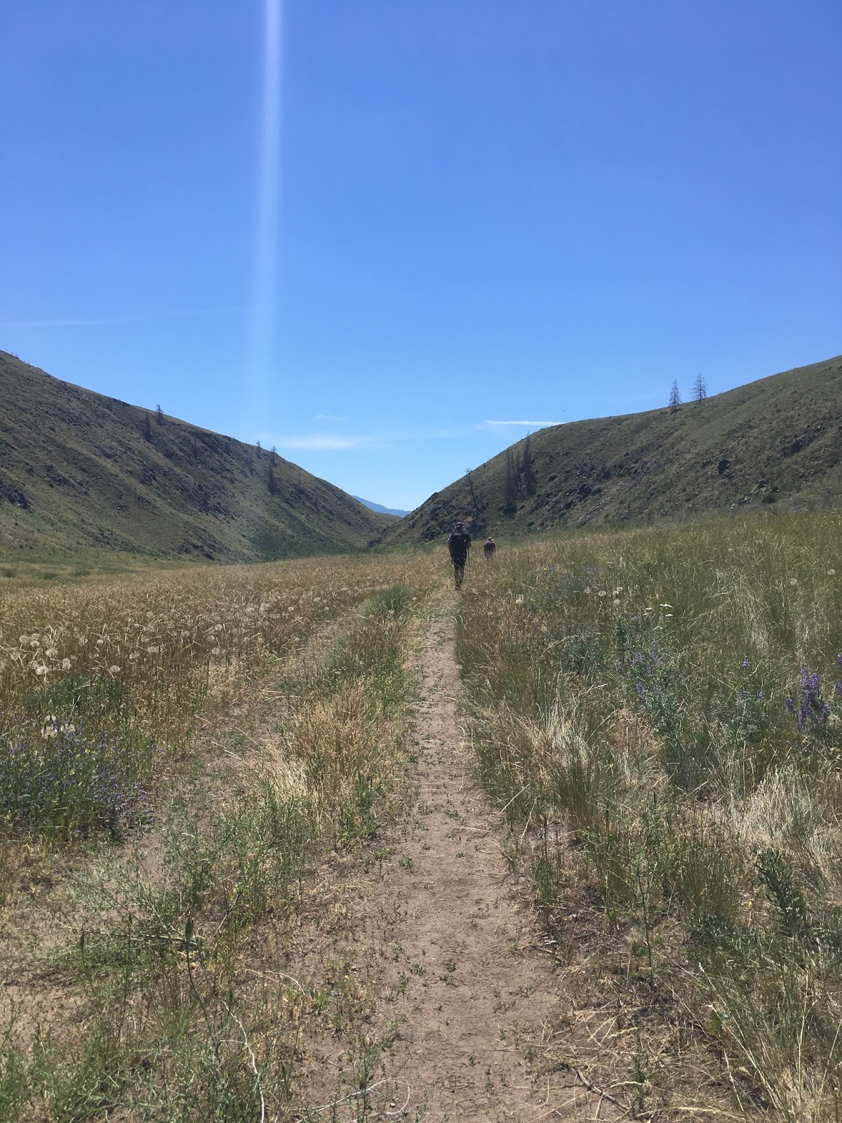 All This Is That methow valley