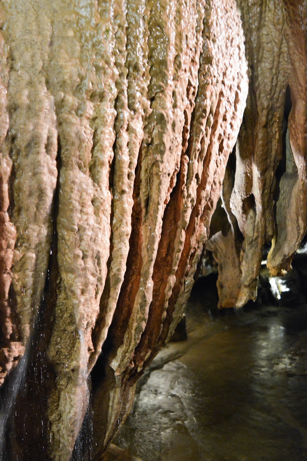 Dan yr Ogof Cave, caves in Wales, things to do in Wales, lifestyle blog
