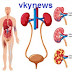 All Natural Kidney and Health Kidney Function Restoration 