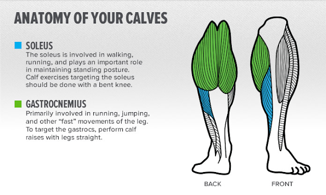 Avoid Mistakes Limiting Your Calf Size