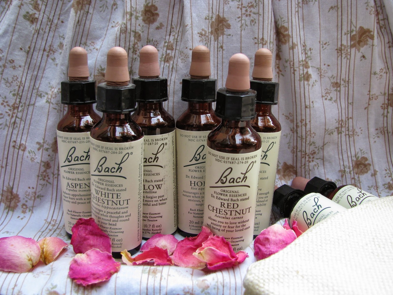 Healthy Gypsy Traveller Bach Flower Remedies for Fear of Flying