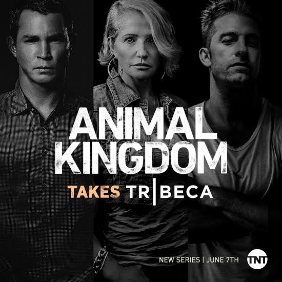 animal kingdom season 5 animal kingdom season 5