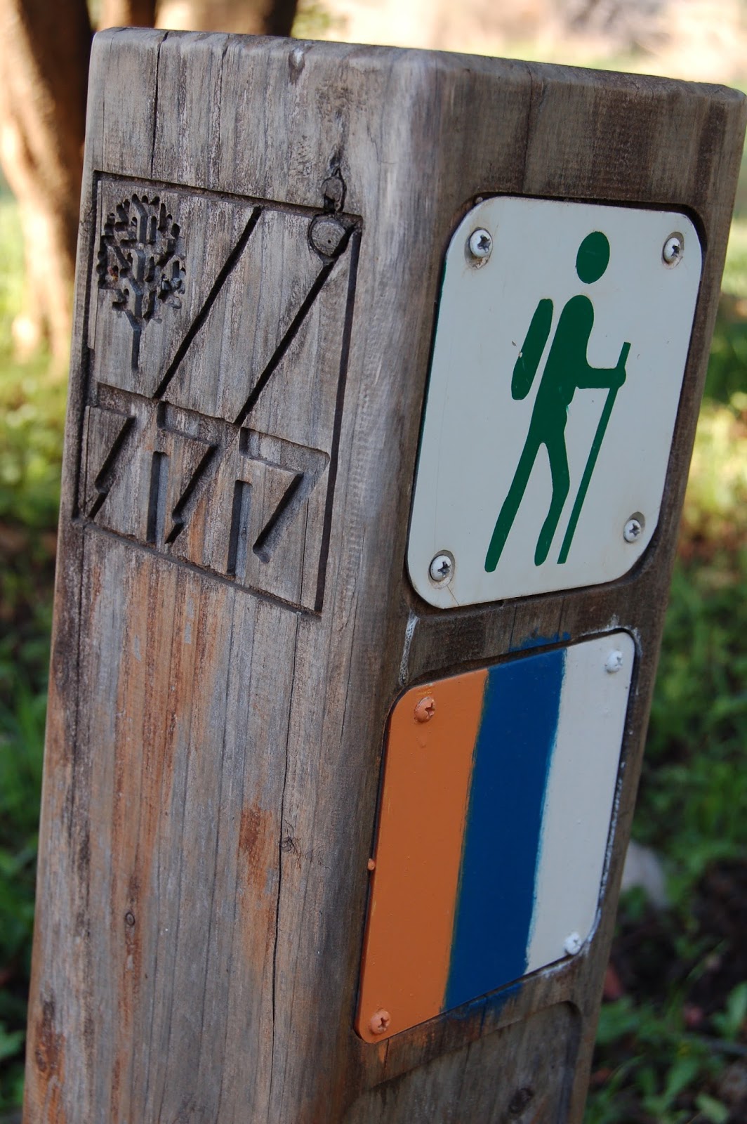 Izrael – Zanim wyruszysz na szlak PRAKTYCZNE PORADY ceny … Shvil Israel