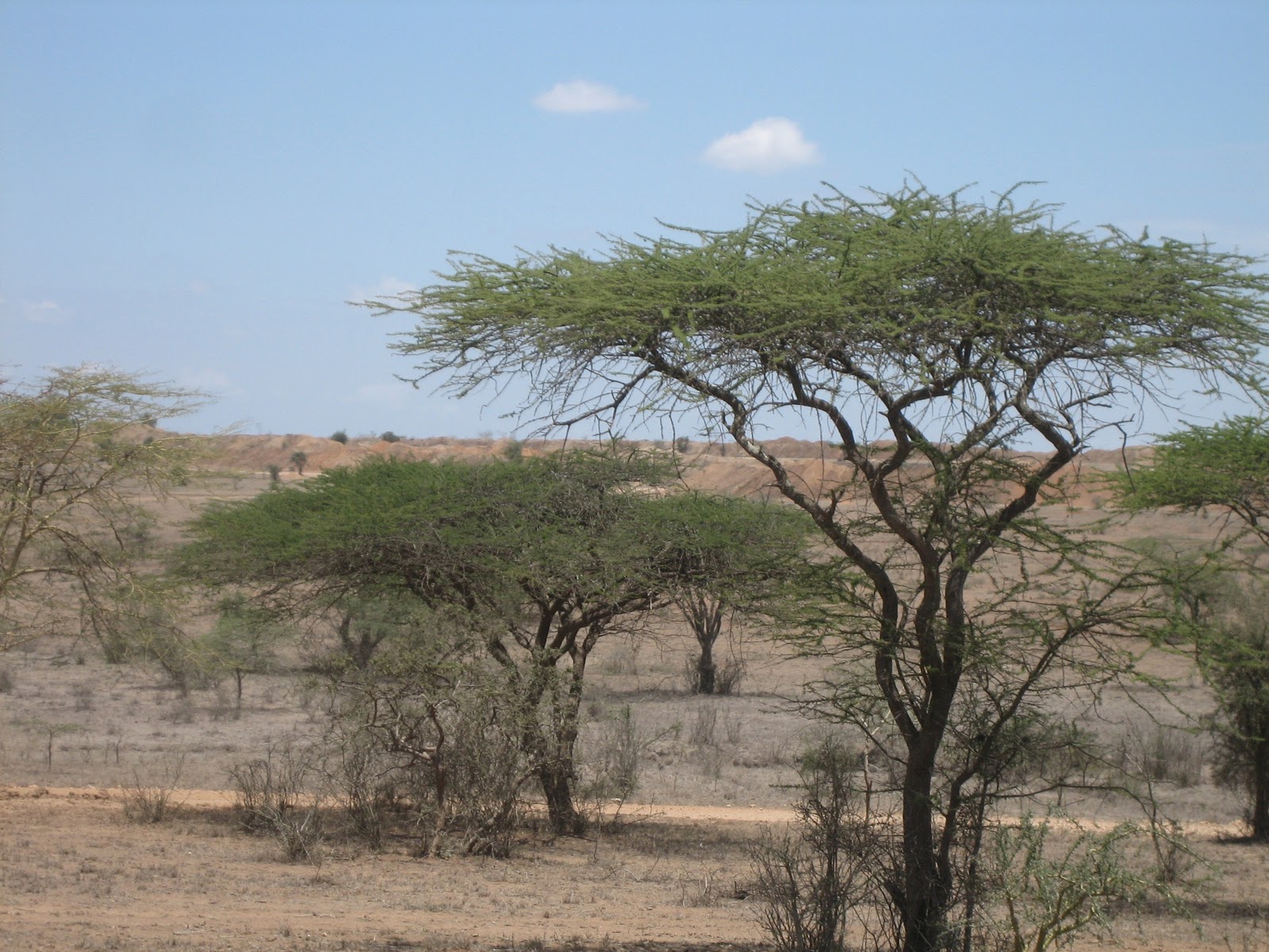 Marissa in Kenya CSC Kenya 4 to Machakos