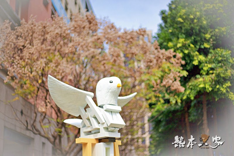 心湖櫻緣|三峽台北大學「心湖櫻花步道」-杜鵑、吉野櫻、木棉花齊綻放