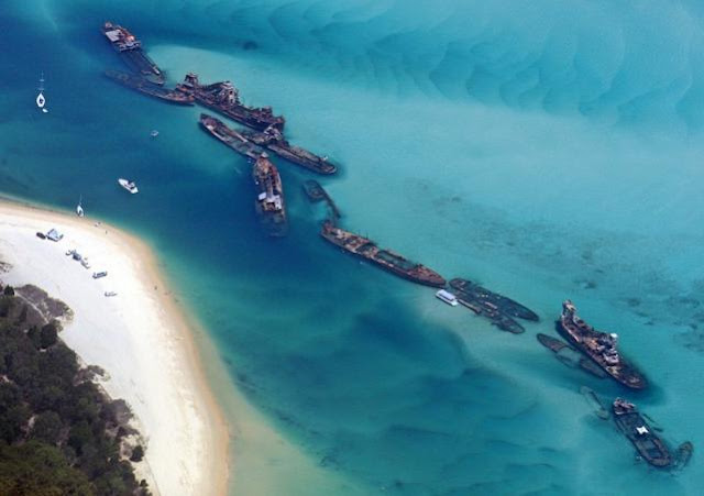 Tempat Wisata yang Wajib Dikunjungi di Australia Tangalooma Island