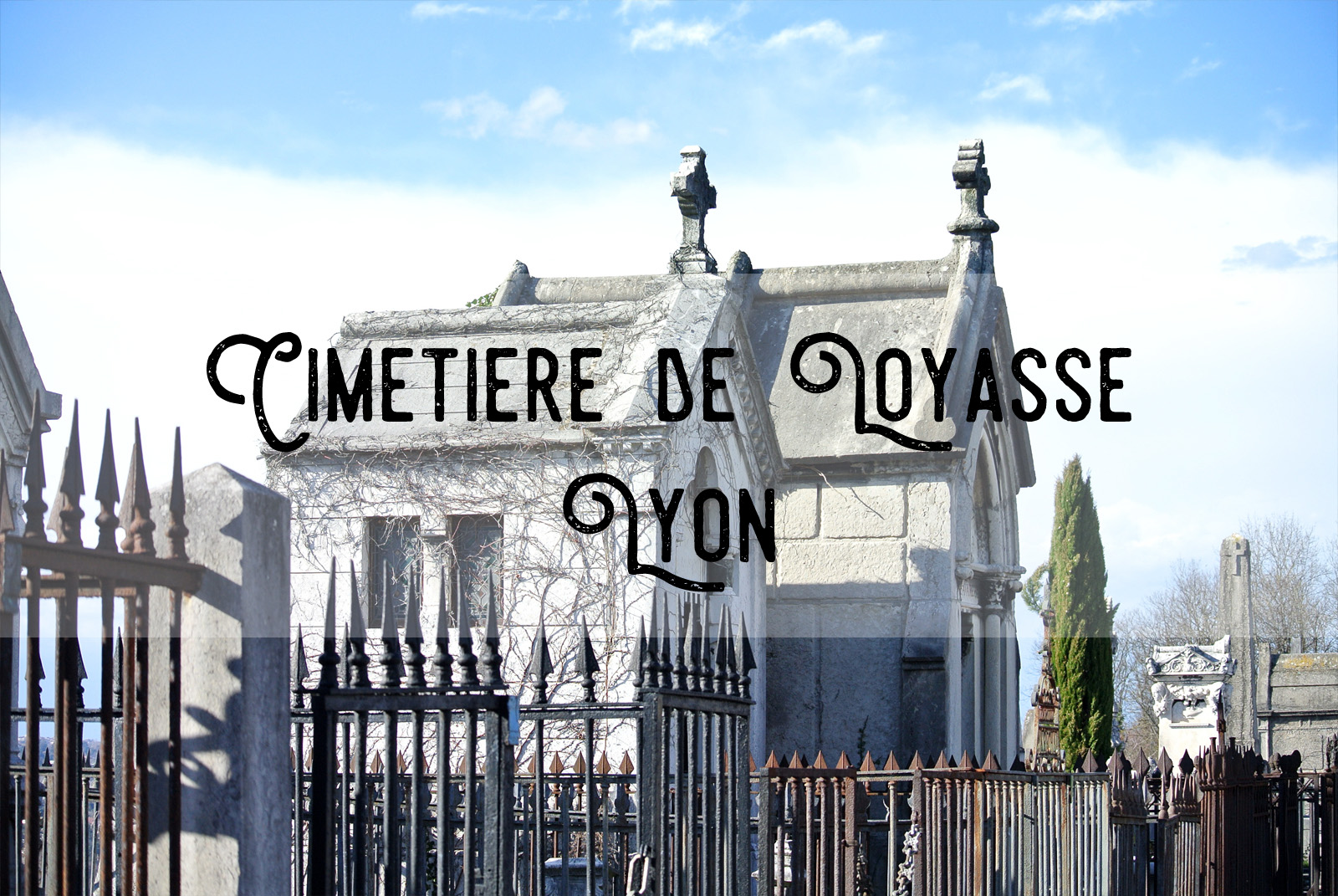 Le jardin des allongés Cimetière de Loyasse / Lyon / France