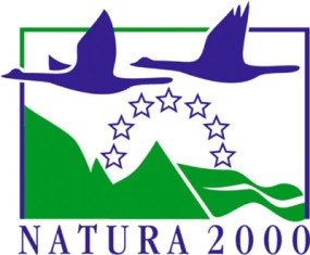 Red Natura 2000. ZEC Cuenca del Río Guadarrama