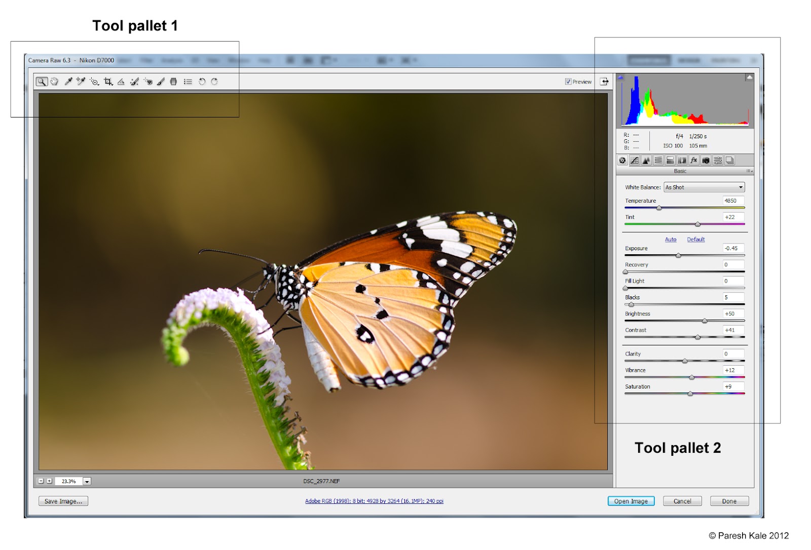 The Top Post ! Basic Raw Editing