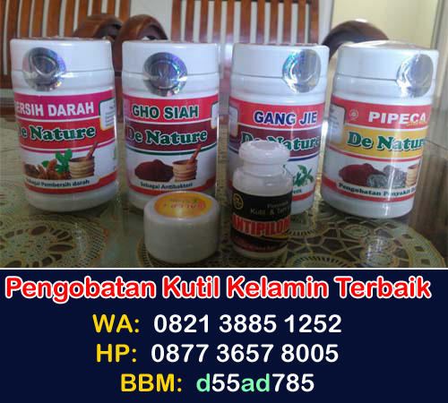 obat kutil kelamin jengger ayam