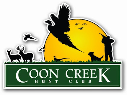 Coon Creek
