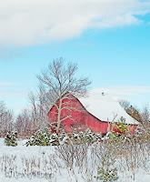Winter barn watercolour, Orillia, Ont