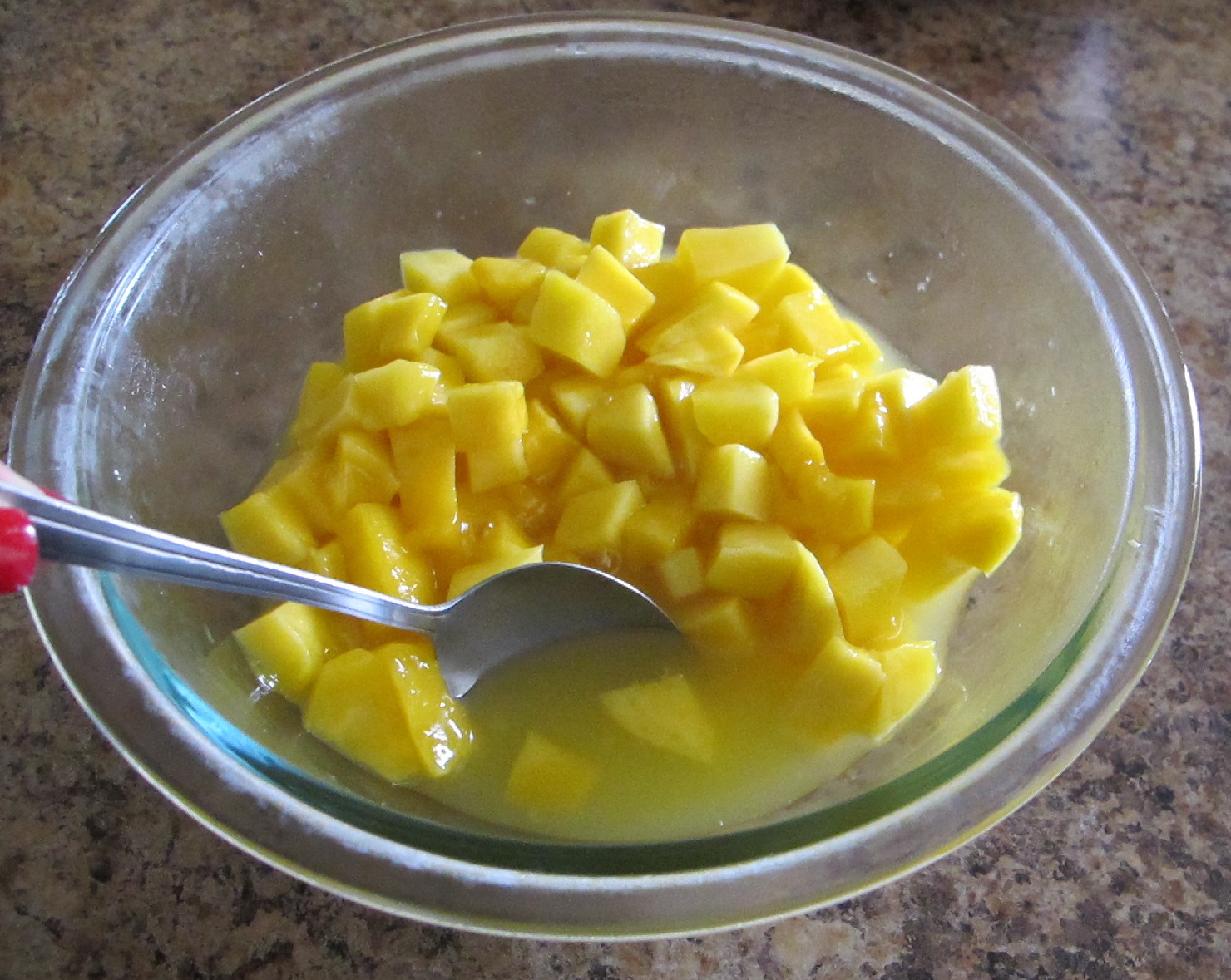 Luscious Bites Macerated Mangoes