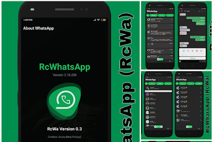 ns whatsapp update new version ns whatsapp update new version