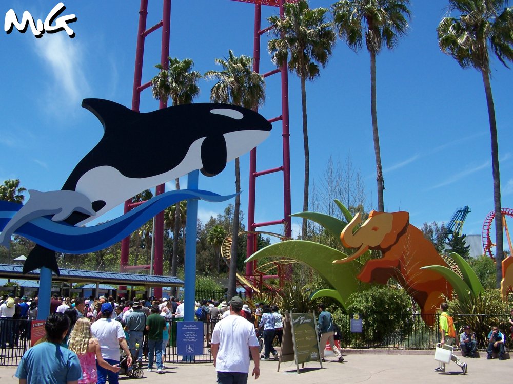 six flags discovery kingdom exhibits six flags discovery kingdom exhibits