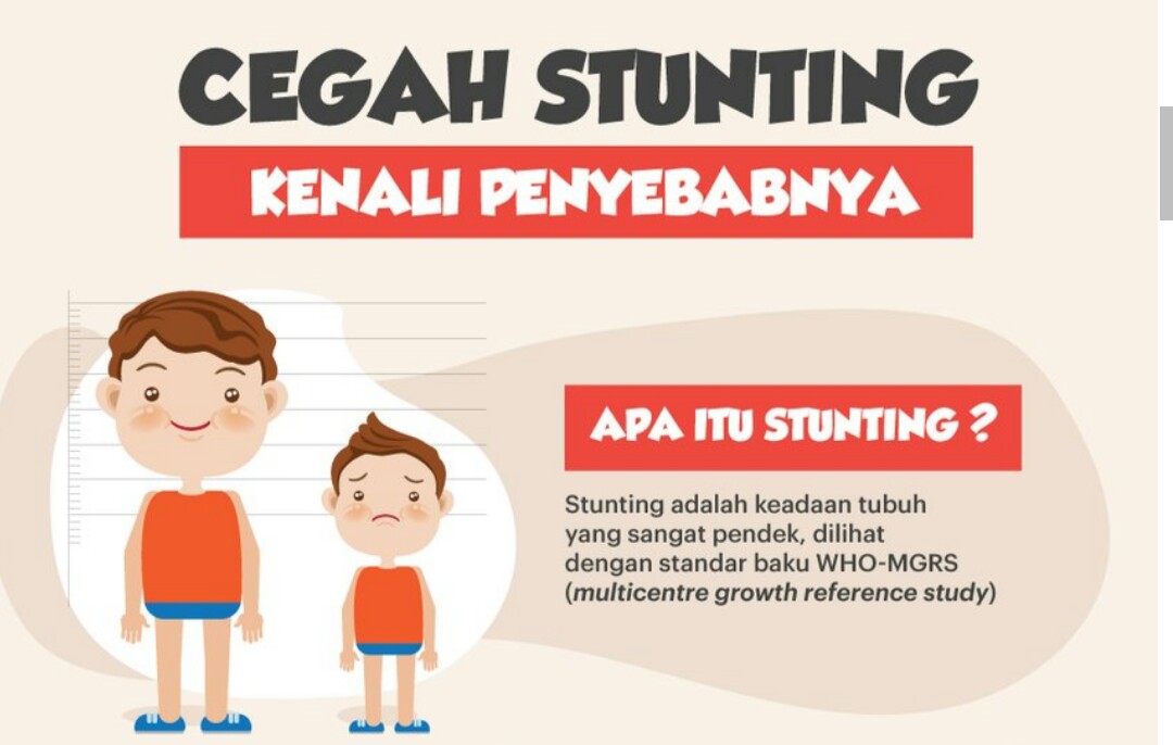 Stunting dan Efek Jangka Panjang Pada Ledakan Demografi ~ Si Ibuk
