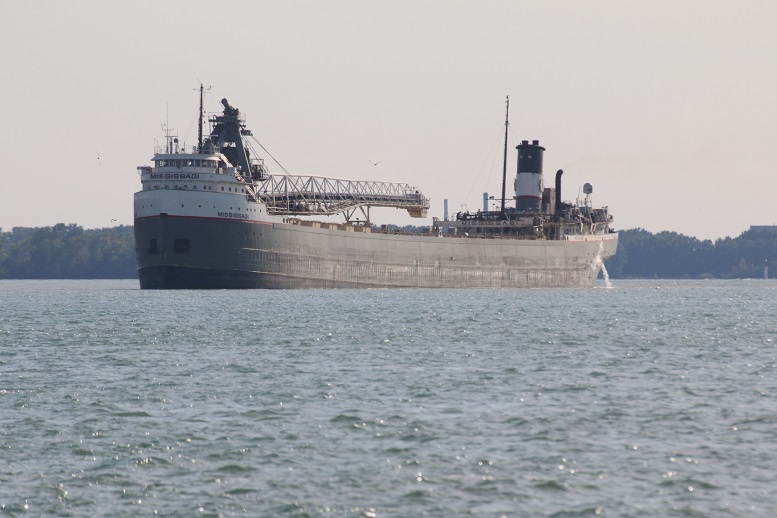 Michigan Exposures The Mississagi Heading Into the Sterling Fuel Docks