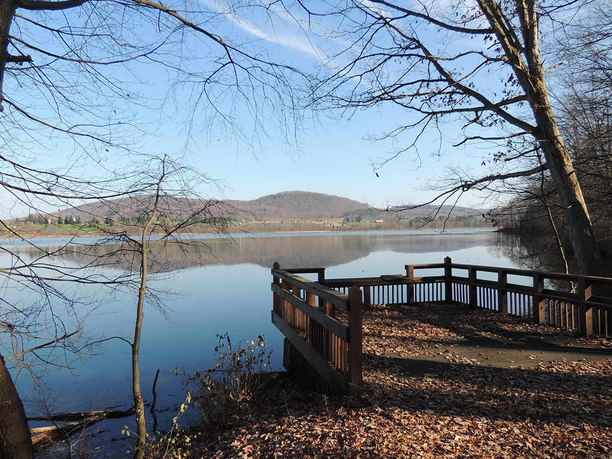 Living the Life We've Imagined November 2012