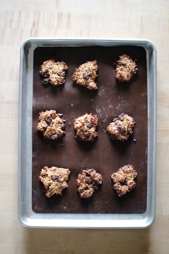 land of honey Coconut Cookies for Passover