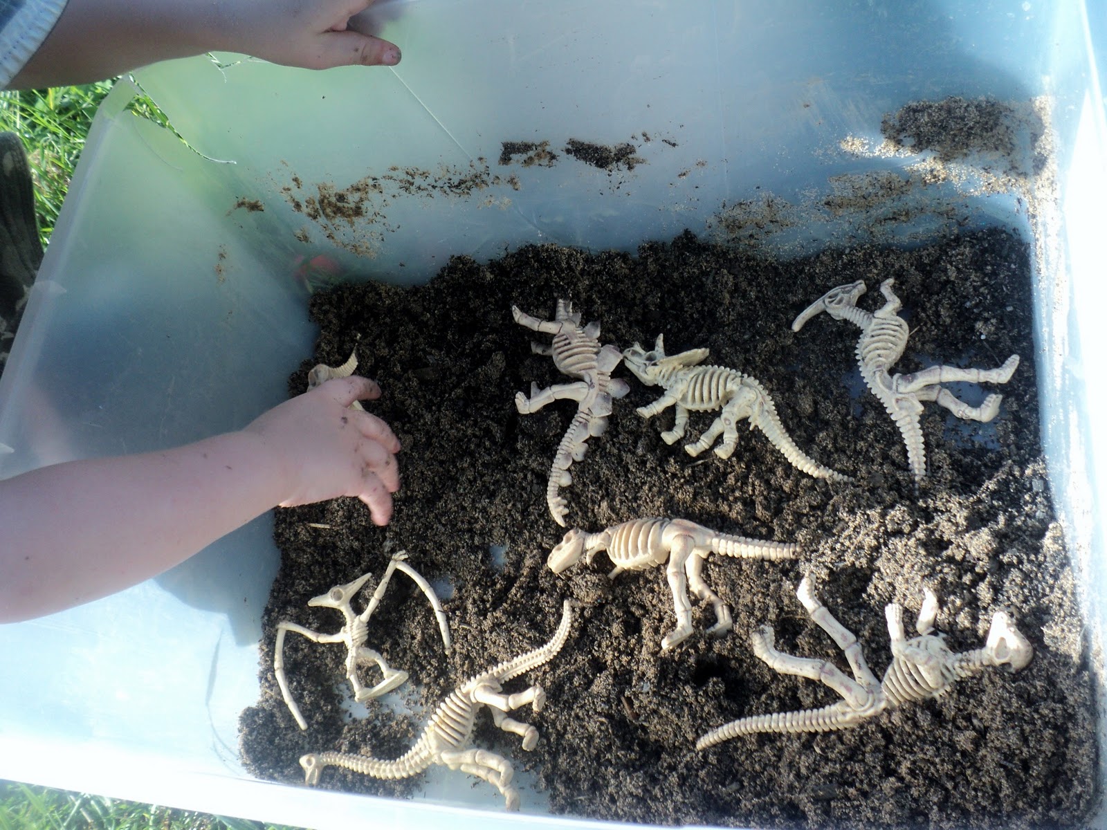 Adventures at home with Mum: Digging for Dinosaurs; 'D' activities