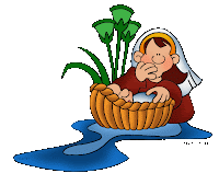 Dances With Dogs: The Supreme Being vs The Supreme Court