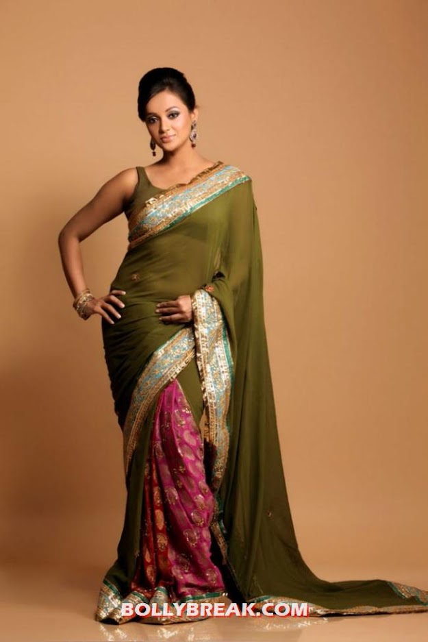 Tanu Roy showing her assets in a red and green traditional saree - (3) -  Tanu Roy saree Photo Shoot