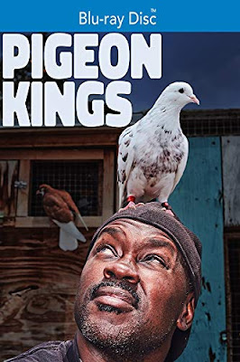 Pigeon Kings 2020 Bluray